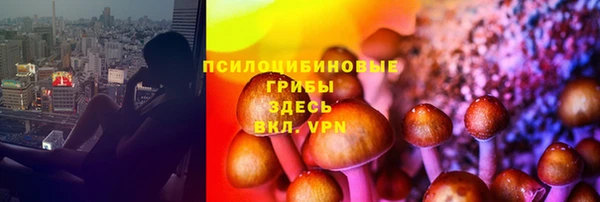 мескалин Алексин