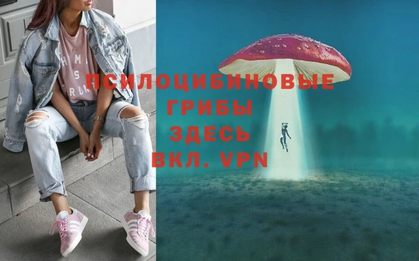 соль курить ск Алексеевка