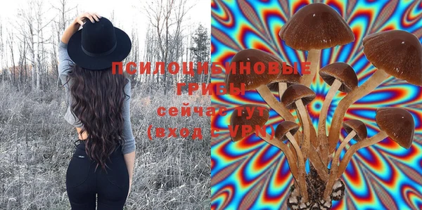 соль курить ск Алексеевка