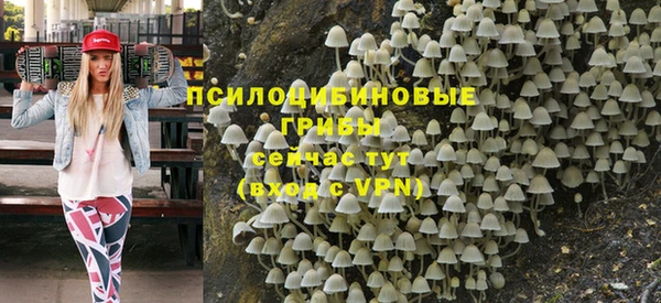 таблы Алзамай