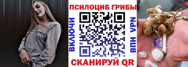 Купить Верещагино Галлюциногенные грибы Magic Shrooms